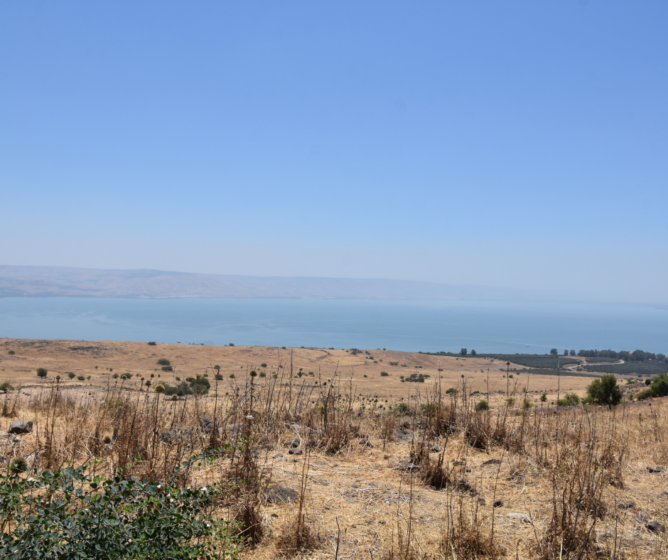 Investment and Returns in the Environment and Health: The Water Sector, Energy, and Government Expenditures