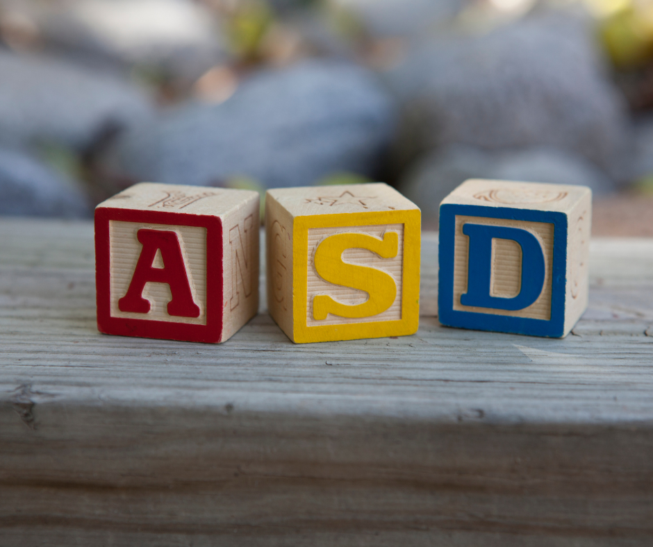 Missing the Developmental Window of Opportunity: Inequality in the Formal Recognition of Autism in Israel